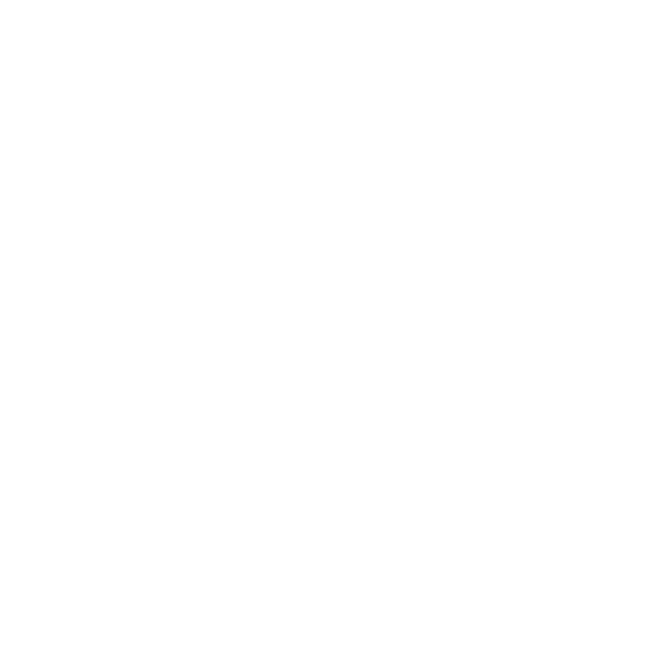 asset logo 2dutch small